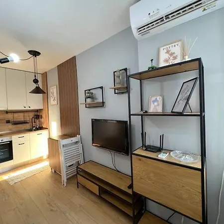 Cozy Boutique In Apartment Plowdiw