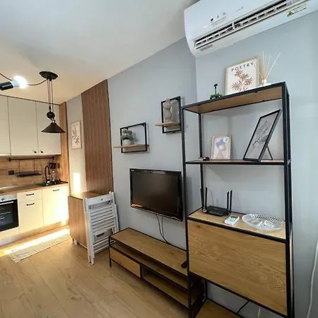 Cozy Boutique In Apartment Plovdiv